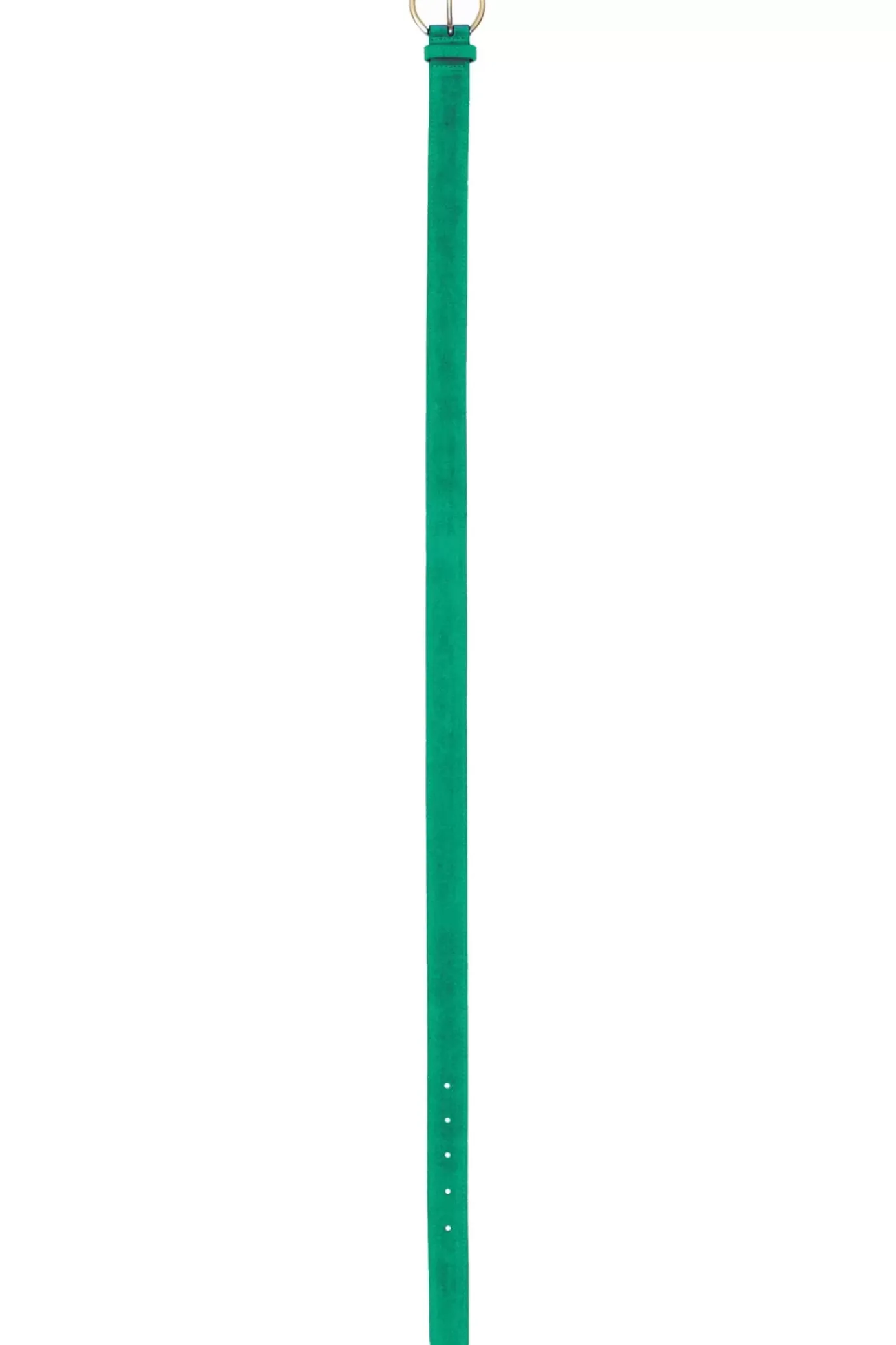 Accessoires|LA PETITE ÉTOILE Ceinture Dixon Vert