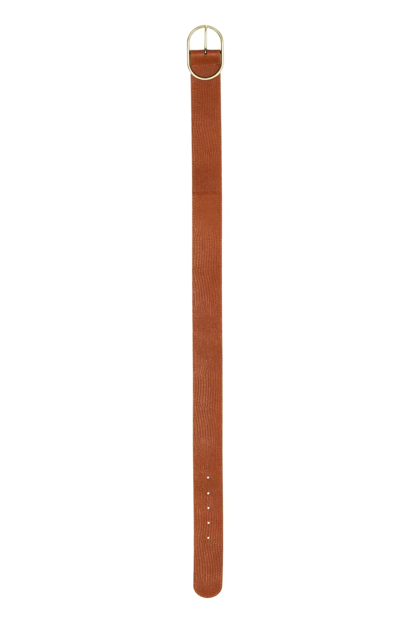 Accessoires|LA PETITE ÉTOILE Ceinture Jared Camel